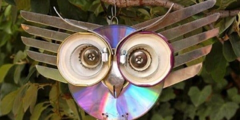 Kako zaštititi bobice od ptica u ljetnoj kućici i zaštititi voćke - 9 načina